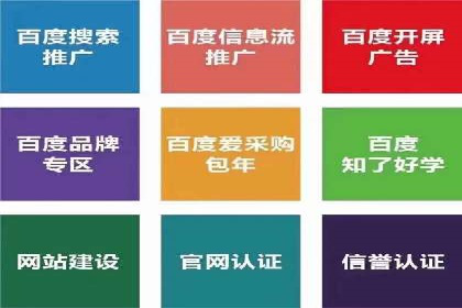 百度推广公司案例展示：揭秘传统行业如何实现互联网转型